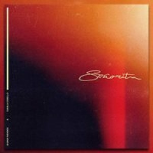 Shawn Mendes, Camila Cabello - Senorita